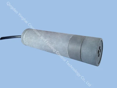 Elettrodo di riferimento portatile al cloruro d'argento per protezione catodica